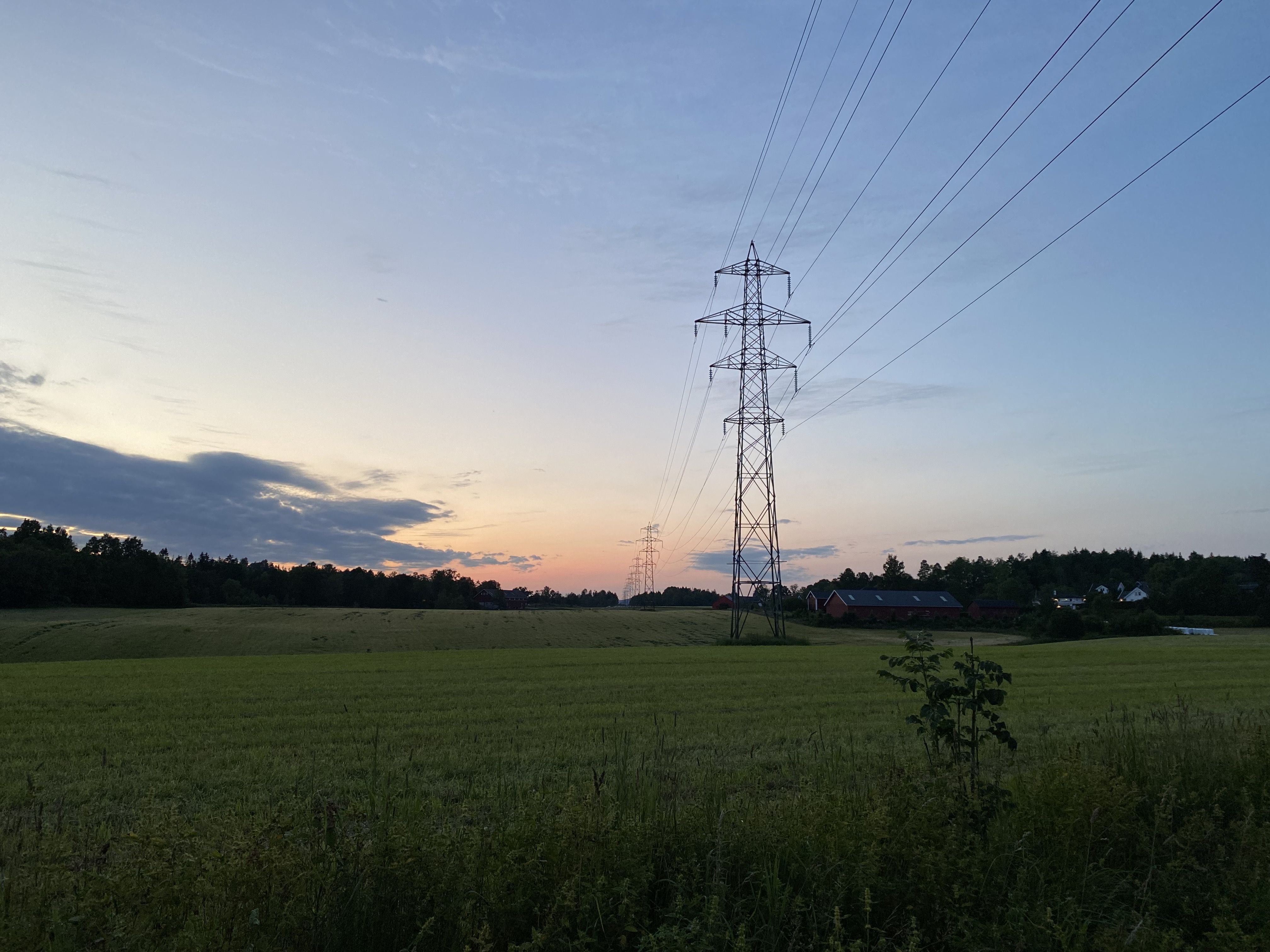 Field with Power Lines